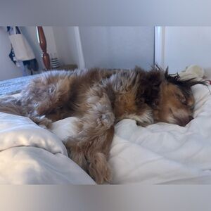 CURRENTLY NOT ACCEPTING OFFERS
Thank you for your understanding ☺️🙏🏻